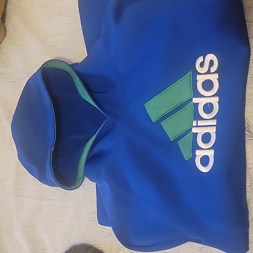Boys LG Boys champion sweatshirt
